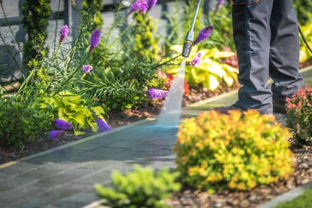 Professional Pressure Washing Services in Mason Neck, VA